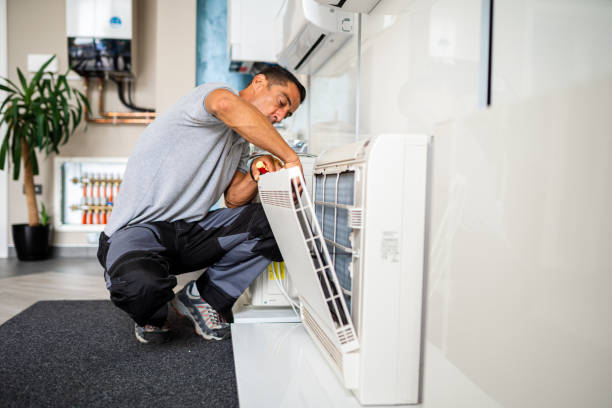 Air Duct Mold Removal in Pleasant Grove, UT