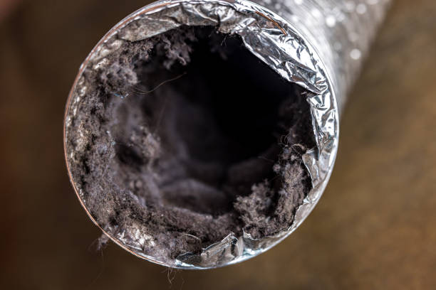 Best HVAC Air Duct Cleaning  in Pleasant Grove, UT
