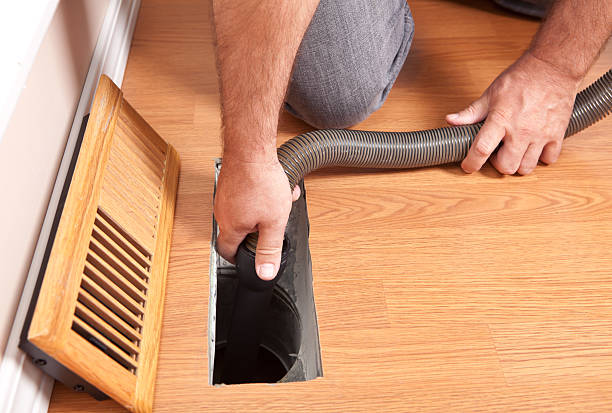 Best Air Duct Mold Removal  in Pleasant Grove, UT