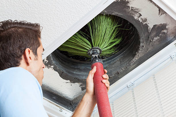 Best Air Duct Sanitizing Services  in Pleasant Grove, UT