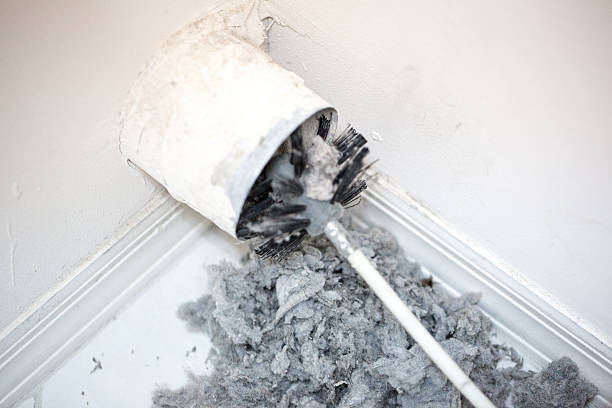 Best Local Air Duct Cleaning Services  in Pleasant Grove, UT